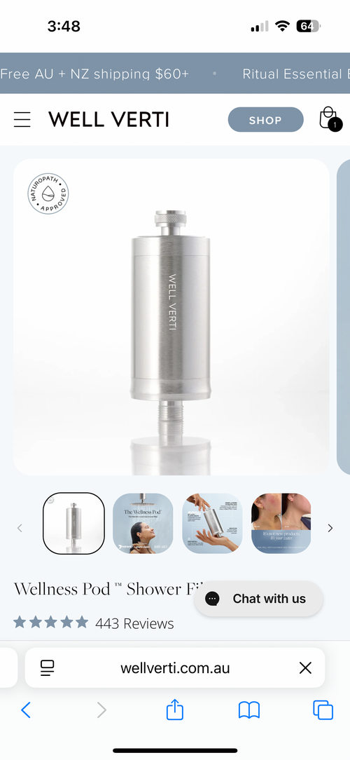 Shower filter