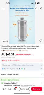 Shower filter